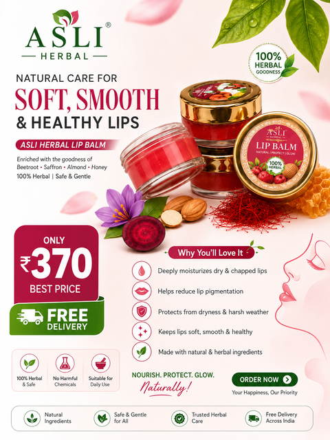 Asli Herbal Lipbalm